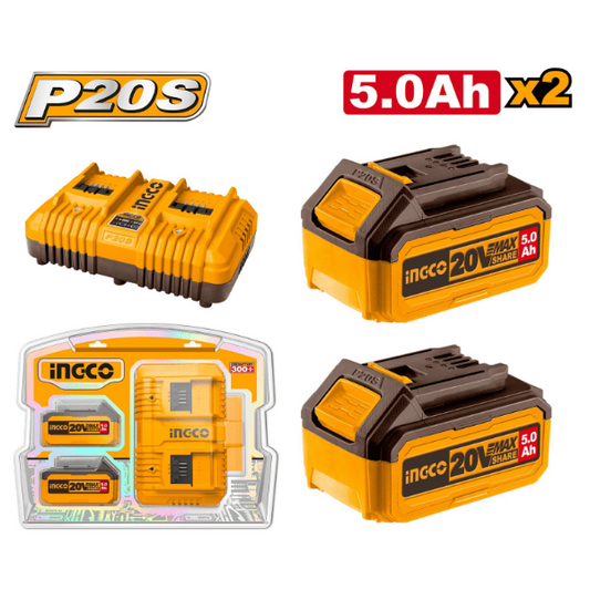 Kit batterie et chargeur Lithium-Ion P20S